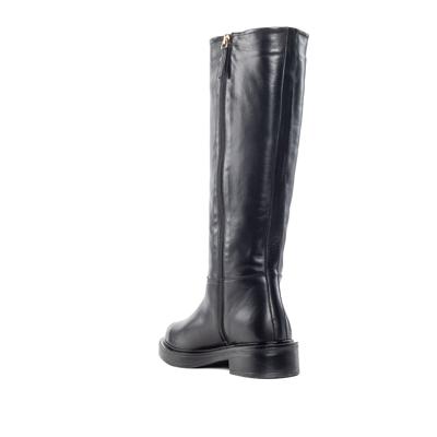 Сапоги Corsani Firenze B2780