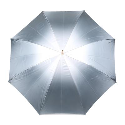 Зонт Pasotti T2514